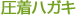 DM�E�n�K�L�쐬