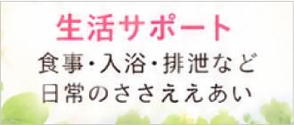 �뎚�̗�